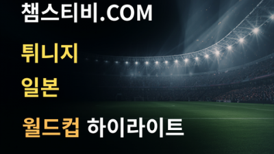 튀니지 VS 일본 0:4 월드컵 하이라이트