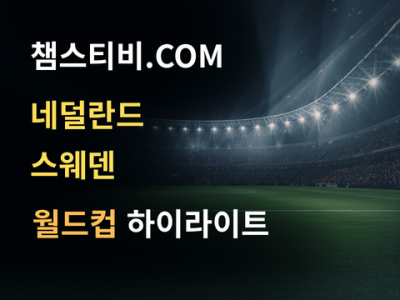 네덜란드 VS 스웨덴 5:1 월드컵 하이라이트