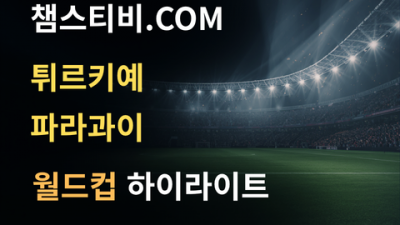 튀르키예 VS 파라과이 0:1 월드컵 하이라이트