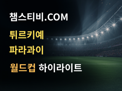 튀르키예 VS 파라과이 0:1 월드컵 하이라이트