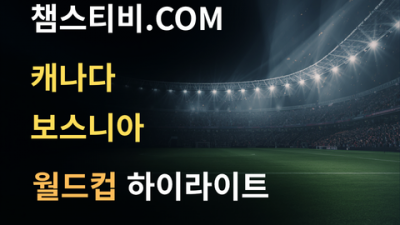캐나다 VS 보스니아 1:1 월드컵 하이라이트
