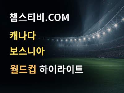 캐나다 VS 보스니아 1:1 월드컵 하이라이트
