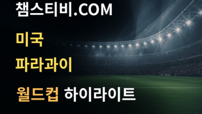 미국 VS 파라과이 4:1 월드컵 하이라이트