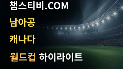 남아공 VS 캐나다 0:1 월드컵 하이라이트